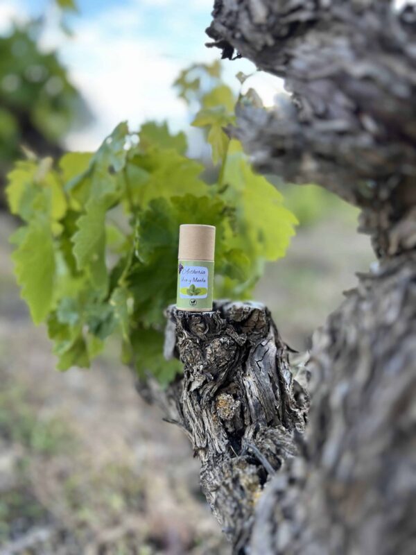 Labial de Uva y Menta