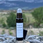 Bosque de Eucaliptus