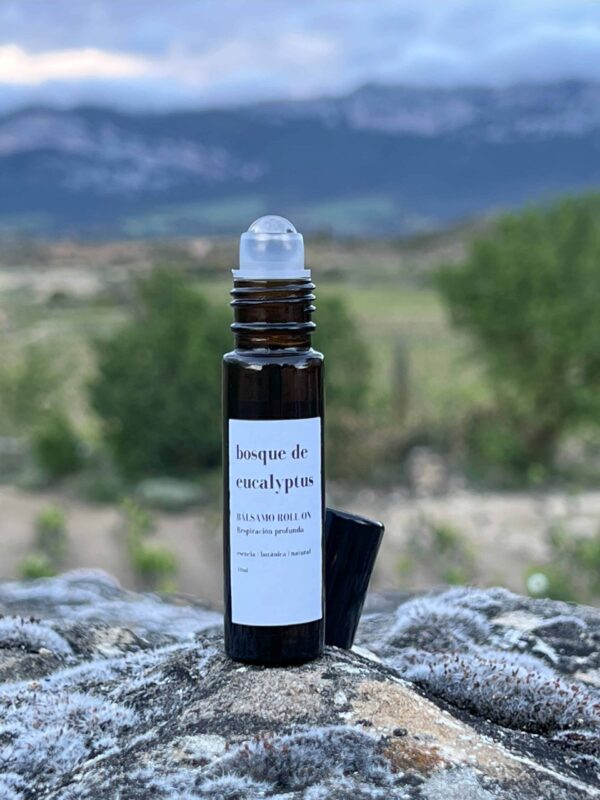 Bosque de Eucaliptus